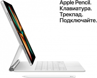 Планшет Apple iPad Pro 2021 MHNQ3RU/A M1 8C RAM16Gb ROM2Tb 12.9" IPS 2732x2048 iOS серебристый 12Mpix 12Mpix BT WiFi Touch 10hr от магазина РЭССИ