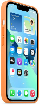 Чехол (клип-кейс) Apple для Apple iPhone 13 mini Silicone Case with MagSafe весенняя мимоза (MM1U3ZE/A) от магазина РЭССИ