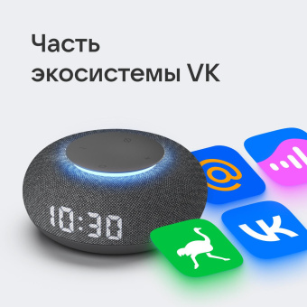 Умная колонка VK Капсула Мини Маруся т.серый 5W 1.0 BT 10м (MRC02BK) от магазина РЭССИ