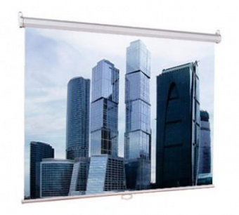 Экран Lumien 200x200см Eco Picture LEP-100103 1:1 настенно-потолочный рулонный от магазина РЭССИ