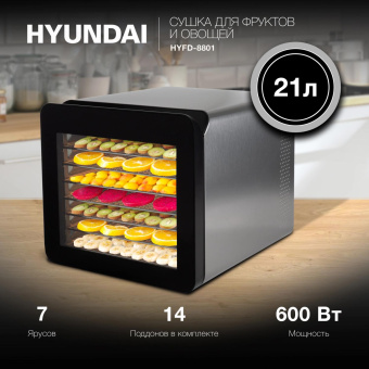 Сушка для фруктов и овощей Hyundai HYFD-8801 14под. 600Вт серебристый от магазина РЭССИ