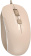 Картинка Мышь A4Tech Fstyler FM26 бежевый/коричневый оптическая (1600dpi) USB для ноутбука (4but) от магазина РЭССИ Мышь A4Tech Fstyler FM26 бежевый/коричневый оптическая (1600dpi) USB для ноутбука (4but) от магазина РЭССИ
