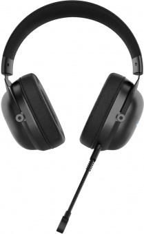 Наушники с микрофоном Acer AHW122 черный 2.1м мониторные USB оголовье (ZL.HDSCC.01U) от магазина РЭССИ