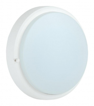 Светильник IEK ДПО 12Вт 6500K белый (LDPO0-4006-12-6500-K01) от магазина РЭССИ