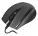 Картинка Мышь A4Tech V-Track Padless N-600X черный оптическая (1600dpi) USB (4but) от магазина РЭССИ Мышь A4Tech V-Track Padless N-600X черный оптическая (1600dpi) USB (4but) от магазина РЭССИ