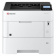 Принтер лазерный Kyocera P3150dn (1102TS3NL0) A4 Duplex Net белый от магазина РЭССИ