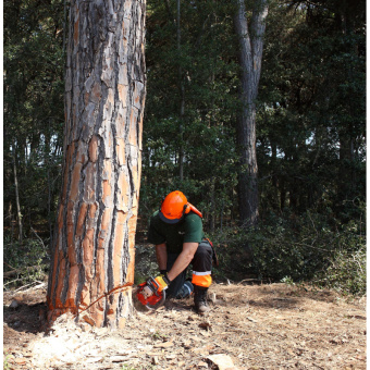 Бензопила Efco MT 6500 50259002E1 от магазина РЭССИ