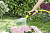 Наконечник-распылитель Karcher 2.645-267.0 желтый/черный от магазина РЭССИ