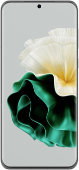 Смартфон Huawei LNA-LX9 P60 256Gb 8Gb зеленый моноблок 3G 4G 2Sim 6.67" 1220x2700 EMUI 12 48Mpix 802.11 a/b/g/n/ac/ax NFC GPS GSM900/1800 GSM1900 TouchSc Protect NM max256Gb от магазина РЭССИ