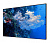 Экран на раме Cactus 151x267см Alr Expert CS-PSALR-267X151 16:9 настенный натяжной от магазина РЭССИ