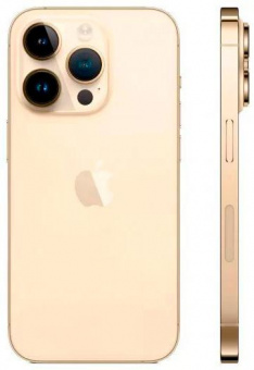 Смартфон Apple A2889 iPhone 14 Pro 128Gb 6Gb золотой моноблок 3G 4G 1Sim 6.1" 1179x2556 iOS 16 48Mpix 802.11 a/b/g/n/ac/ax NFC GPS GSM900/1800 GSM1900 TouchSc Protect от магазина РЭССИ
