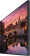 Панель Samsung 55" QB55B черный VA LED 8ms 16:9 DVI HDMI M/M матовая 350cd 178гр/178гр 3840x2160 DP RCA 4K USB 18.1кг (RUS) от магазина РЭССИ