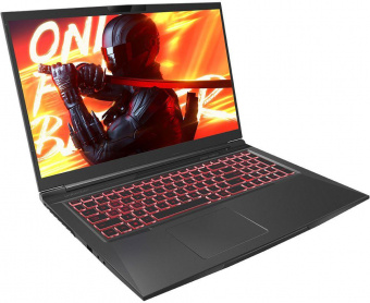 Ноутбук Maibenben X668 Core i7 12700H 32Gb SSD1Tb NVIDIA GeForce RTX 3070 8Gb 17.3" IPS QHD (2560x1440) Linux black WiFi BT Cam 4100mAh (X668QSJELBRE0) от магазина РЭССИ