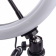 Картинка Осветитель Rekam RL-31 LED Kit от магазина РЭССИ Осветитель Rekam RL-31 LED Kit от магазина РЭССИ