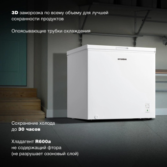 Морозильный ларь Hyundai CH2005 белый от магазина РЭССИ