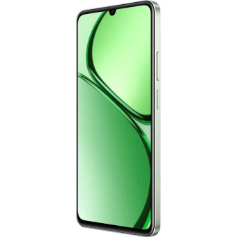 Смартфон Realme RMX3939 C63 256Gb 8Gb зеленый моноблок 3G 4G 2Sim 6.74" 720x1600 Android 14 50Mpix 802.11 a/b/g/n/ac NFC GPS GSM900/1800 GSM1900 TouchSc Protect VidConf A-GPS microSD max2048Gb от магазина РЭССИ