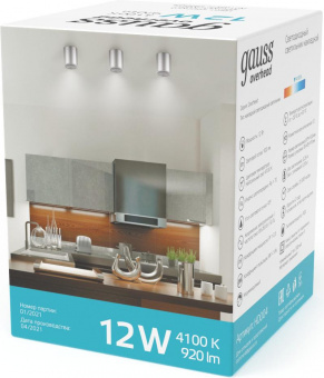 Светильник Gauss Overhead HD004 потолоч. 12Вт 4100K цв.св.:белый серебристый от магазина РЭССИ