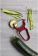 Овощечистка для овощей и фруктов Victorinox Rapid красный карт.кор.с лезвием жульен (6.0934.1) от магазина РЭССИ
