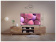 Картинка Телевизор LED Kivi 32" 32H550NB черный HD 60Hz DVB-T2 DVB-C от магазина РЭССИ Телевизор LED Kivi 32" 32H550NB черный HD 60Hz DVB-T2 DVB-C от магазина РЭССИ