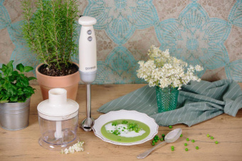 Блендер погружной Gorenje HBX603RL 600Вт бежевый от магазина РЭССИ