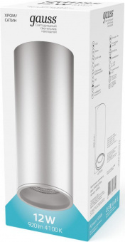 Светильник Gauss Overhead HD006 потолоч. 12Вт 4100K цв.св.:белый серебристый от магазина РЭССИ
