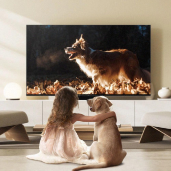 Телевизор QLED TCL 65" 65C855 черный 4K Ultra HD 120Hz DVB-T DVB-T2 DVB-C DVB-S DVB-S2 USB WiFi Smart TV от магазина РЭССИ