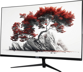 Монитор RDW Computers 27" RDW2701K черный IPS 5ms 16:9 HDMI матовая 1000:1 250cd 178гр/178гр 2560x1440 75Hz DP 9кг (RUS) от магазина РЭССИ