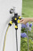 Таймер Karcher WT 2 черный желтый (2.645-209.0) от магазина РЭССИ