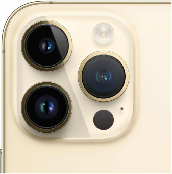 Смартфон Apple A2892 iPhone 14 Pro 128Gb 6Gb золотой моноблок 3G 4G 2Sim 6.1" 1179x2556 iOS 16 48Mpix 802.11 a/b/g/n/ac/ax NFC GPS GSM900/1800 GSM1900 TouchSc Protect от магазина РЭССИ