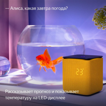 Умная колонка Yandex Станция Миди YNDX-00054ORG Алиса оранжевый 24W 1.0 BT/Wi-Fi 10м от магазина РЭССИ