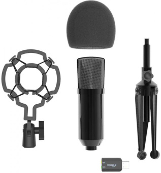 Микрофон проводной Ritmix RDM-160 2.5м черный от магазина РЭССИ