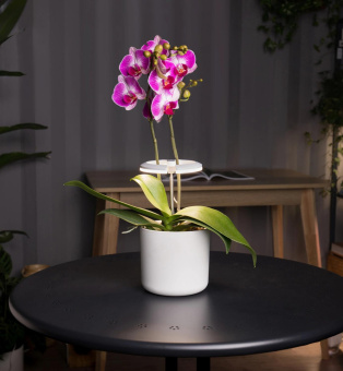 Светильник фито Cactus GARDEN светод. 7.5Вт цв.св.:белый (CS-LED-ORCHID) от магазина РЭССИ