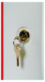 Шкаф коммутационный ЦМО ШРН-ЭКОНОМ (ШРН-Э-6.350.1) настенный 6U 600x350мм пер.дв.стал.лист 85кг серый 300мм 11кг 180град. 345мм от магазина РЭССИ