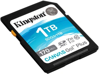 Флеш карта SDXC 1TB Kingston SDG3/1TB Canvas Go! Plus w/o adapter от магазина РЭССИ