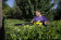 Картинка Кусторез Karcher HGE 36-60аккум. (1.444-250.0) от магазина РЭССИ Кусторез Karcher HGE 36-60аккум. (1.444-250.0) от магазина РЭССИ