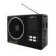 Радиоприемник портативный Сигнал Эфир-10 черный от магазина РЭССИ