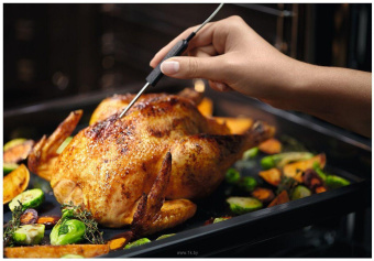 Духовой шкаф Электрический Electrolux EOB7S31X серебристый/черный от магазина РЭССИ