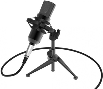 Микрофон проводной Ritmix RDM-160 2.5м черный от магазина РЭССИ