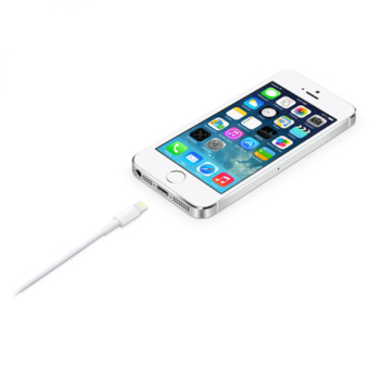 Кабель Apple A1510 MD819ZM/A USB (m)-Lightning (m) 2м белый от магазина РЭССИ
