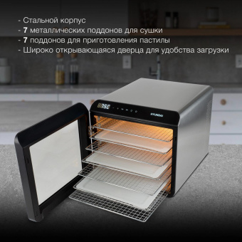 Сушка для фруктов и овощей Hyundai HYFD-8801 14под. 600Вт серебристый от магазина РЭССИ