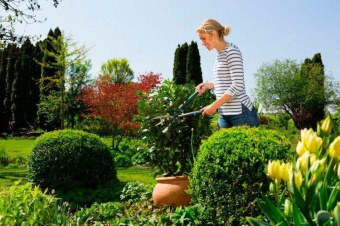 Ножницы для живой изгороди Gardena EasyCut черный/синий (12301-20.000.00) от магазина РЭССИ