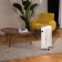 Радиатор масляный Timberk Home Intellect T-OR1507-F10E-WF 1500Вт белый от магазина РЭССИ