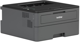 Принтер лазерный Brother HL-L2371DN (HLL2371DNR1) A4 Duplex Net черный от магазина РЭССИ