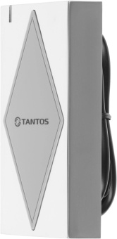 Считыватель карт Tantos TS-RDR-EHMF (00-00037428) уличный антивандальный от магазина РЭССИ