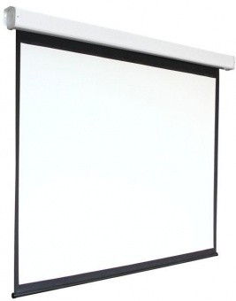 Экран 209x206см Digis Electra-F DSEF-1106 1:1 настенно-потолочный рулонный (моторизованный привод) от магазина РЭССИ