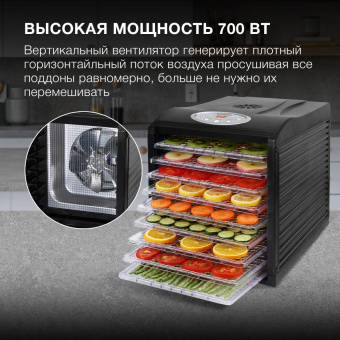 Сушка для фруктов и овощей Hyundai HYFD-1802 27под. 700Вт черный от магазина РЭССИ