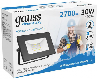 Прожектор уличный Gauss Elementary 613100330 светодиодный 30Вт корп.алюм.черный от магазина РЭССИ