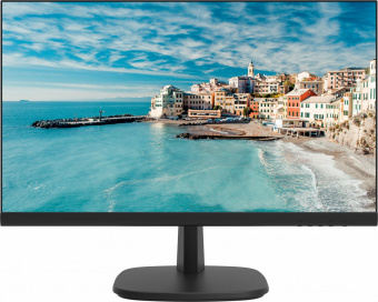 Монитор Hikvision 21.5" DS-D5022FN00 черный TFT LED 6.5ms 16:9 HDMI матовая 250cd 178гр/178гр 1920x1080 60Hz VGA FHD 2.5кг от магазина РЭССИ