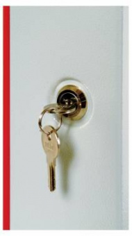 Шкаф коммутационный ЦМО ШРН-ЭКОНОМ (ШРН-Э-6.350.1) настенный 6U 600x350мм пер.дв.стал.лист 85кг серый 300мм 11кг 180град. 345мм от магазина РЭССИ