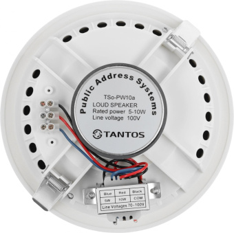 Громкоговоритель Tantos TSo-PW10a потолочный 10Вт белый (00-00026419) от магазина РЭССИ